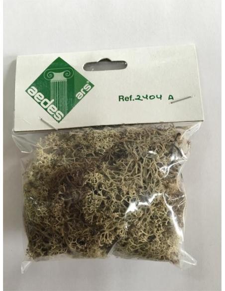 2404A - Musgo Polar AEDES