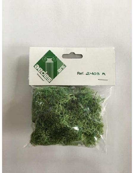 2403A - Musgo verde claro AEDES