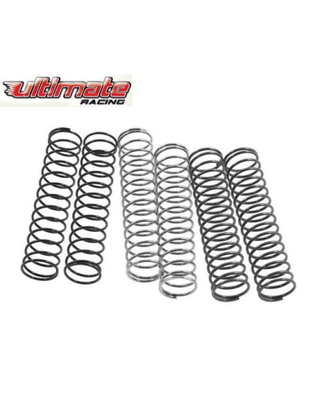 UR1352 SET MUELLES BIG BORE TRASEROS RC8