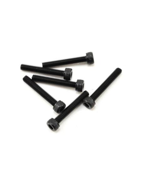 Screws, 2.5x16mm cap-head machine (6)