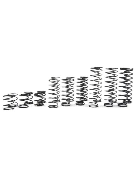 Desert Lizard DDL 100mm Spring Set