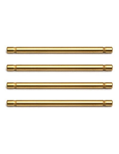 AS89466 RC8B FT Inner Hinge Pins