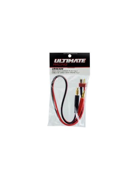 Cable de carga Dean macho