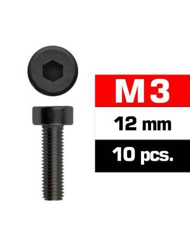 UR163312 Tornillo allen M3x12 cilíndrico (10u.)