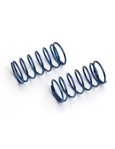 21198 Front blue spring