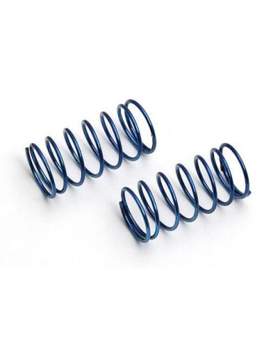 21198 Front blue spring