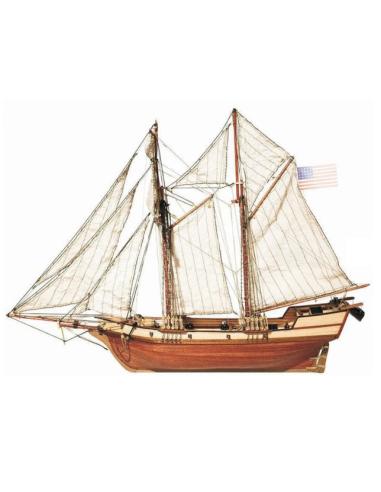 Albatros Occre
