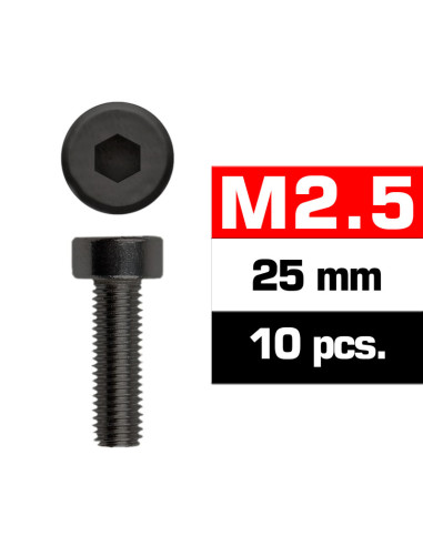 UR1632525 Tornillo inox. M2,5x25 cilíndrico (10u.)