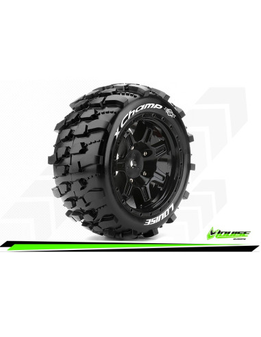 Louise RC - MFT - X-CHAMP - ARRMA Kraton 8S Hex 24