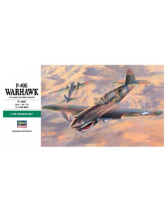 P-40 Warhawk 1/48 Hasegawa