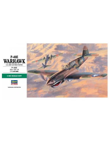 P-40 Warhawk 1/48 Hasegawa