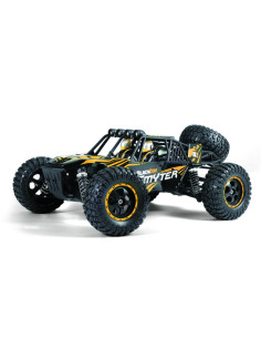 SMYTER DB Desert Buggy 1/12...
