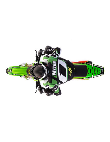 Moto Promoto-MX 1/4 RTR Losi con Bateria y...