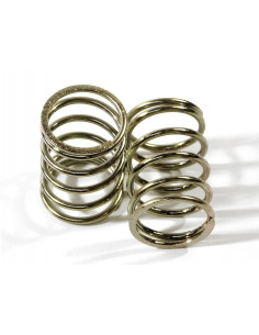 RACING SHOCK SPRING...