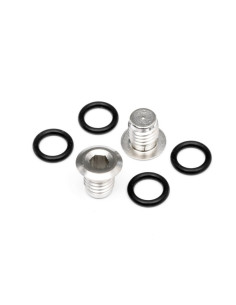DIFF SCREW CAP M4X6MM (2PCS)