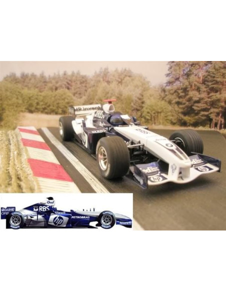 William F1 "Nº 6 " SUPERSLOT