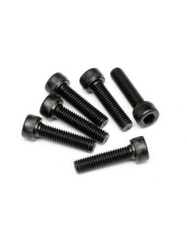 CAP HEAD SCREW M5X20MM (6PCS)