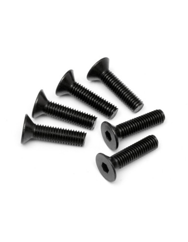 FLAT HEAD SCREW M5x20mm (HEX SOCKET/6pcs)