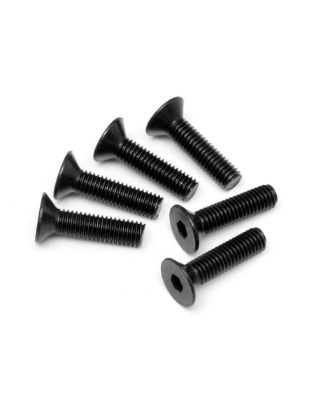 FLAT HEAD SCREW M5x20mm (HEX SOCKET/6pcs)