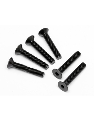 FLAT HEAD SCREW M5x30mm (HEX SOCKET/6pcs)