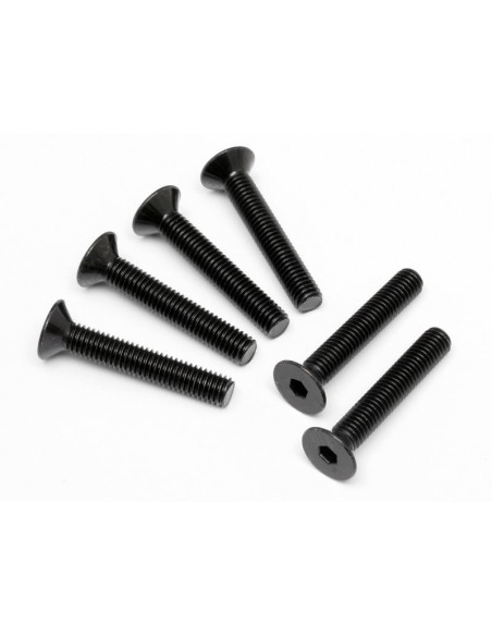 FLAT HEAD SCREW M5x30mm (HEX SOCKET/6pcs)
