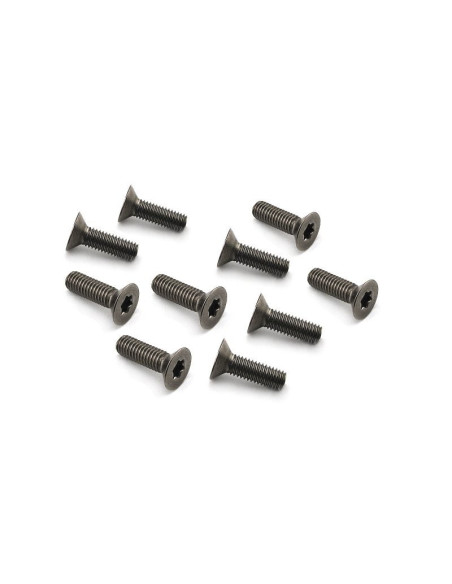 TITANIUM FLAT HEAD SCREW M5x16mm (10pcs)