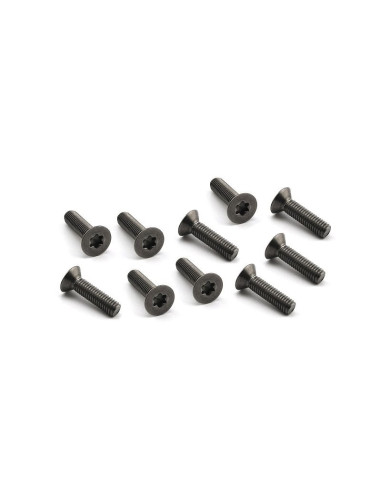 TITANIUM FLAT HEAD SCREW M5x20mm (10pcs)