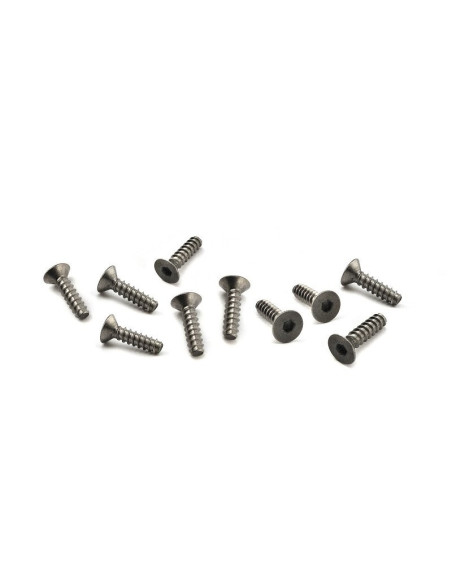 TITANIUM TP. FLAT HEAD SCREW M4x15mm (10pcs)