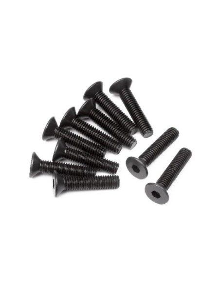 FLAT HEAD SCREW M3x14mm (HEX SOCKET/10pcs)