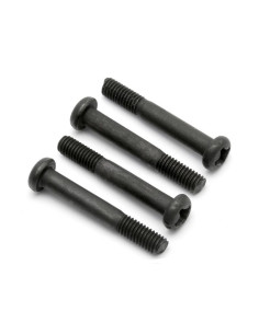 3X20mm Screws