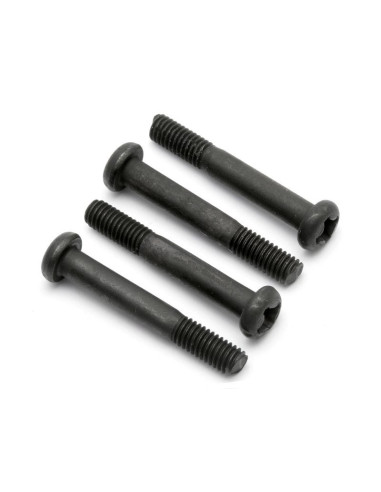 3X20mm Screws