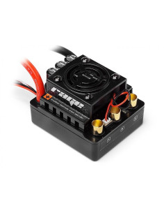Flux Rage 1:8th scale 80Amp...
