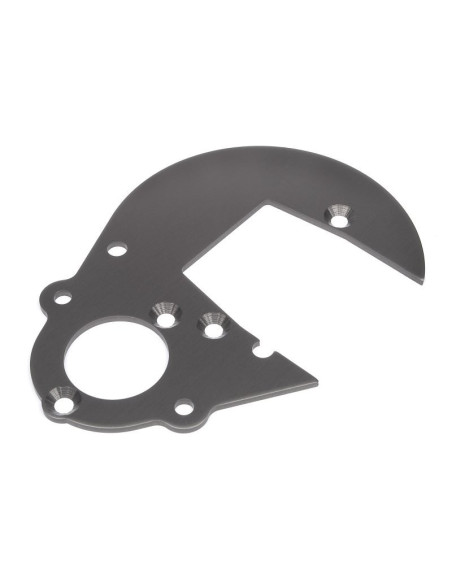 GEAR PLATE (GUNMETAL)