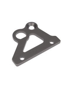BRAKE HOLDER PLATE (GUNMETAL)