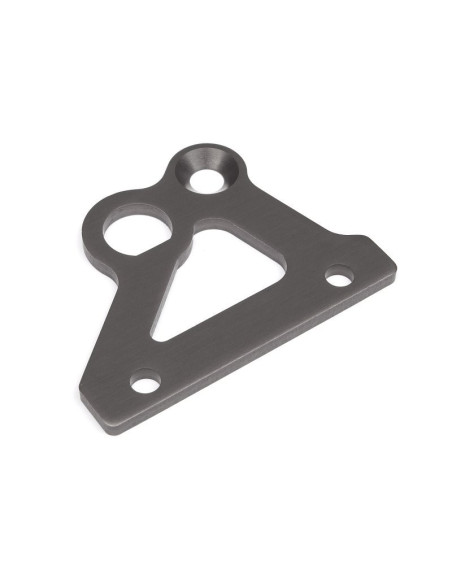 BRAKE HOLDER PLATE (GUNMETAL)