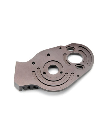 HEATSINK MOTOR PLATE (BROWN)