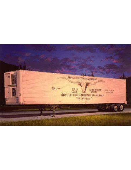 American 48FT REEFER TRAILER 1/24 Italeri