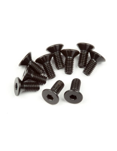 FLAT HEAD SCREW M2.5x6mm...
