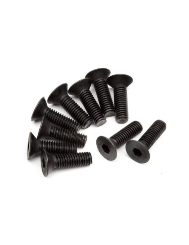 FLAT HEAD SCREW M3x10mm (HEX SOCKET/10pcs)