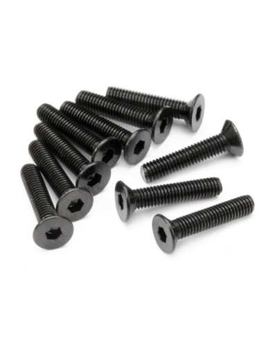 FLAT HEAD SCREW M3X15MM (HEX SOCKET/10PCS)