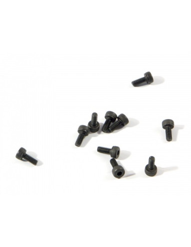 CAP HEAD SCREW M2X5MM (10PCS)