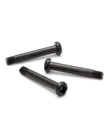 STEP SCREW 3 X 20MM (6 PCS)