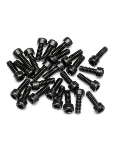 WHEEL SCREW (HEX SOCKET/25PCS