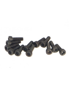 CAP HEAD SCREW M2. 6 X 8MM...