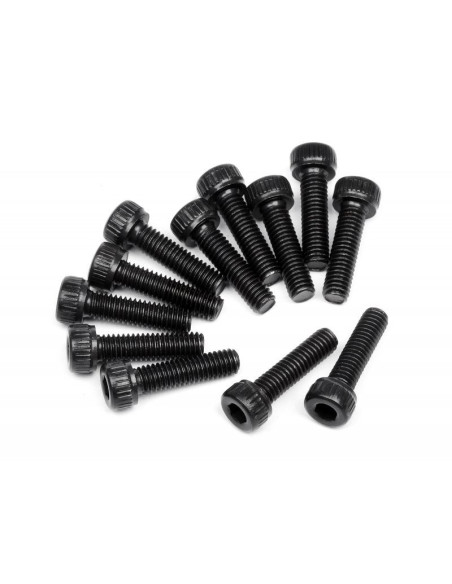 CAP HEAD SCREW M2 6 X 10MM (12PCS)