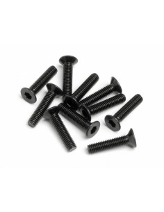 FLAT HEAD SCREW M2.5x12mm...