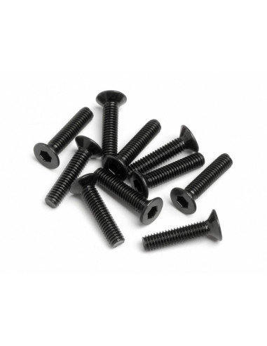 FLAT HEAD SCREW M2.5x12mm (HexSocket/10pcs)