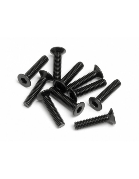 FLAT HEAD SCREW M2.5x12mm (HexSocket/10pcs)