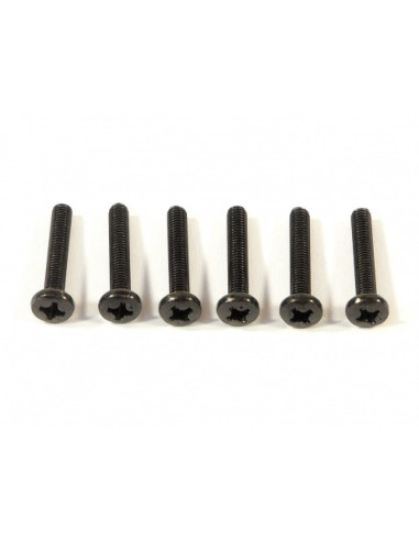 BINDER HEAD SCREW M3X18MM (6PCS)