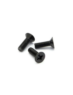 FLAT HEAD SCREW M3x10mm (6pcs)